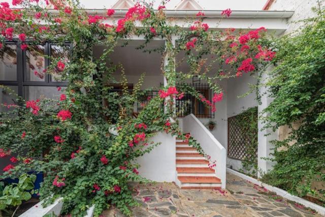 Casa Rural Collao De Lobo Serradilla Екстериор снимка